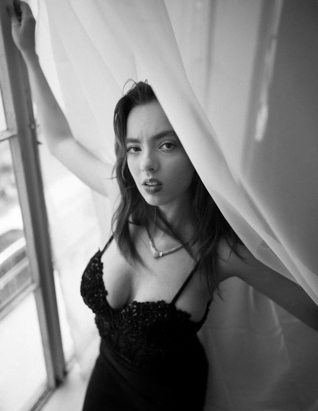 sfevans image