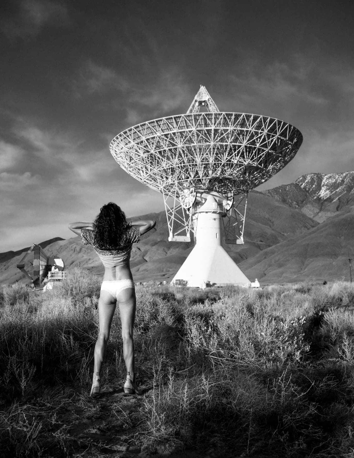 sfevans image