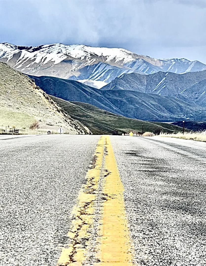 Pdlavoy image