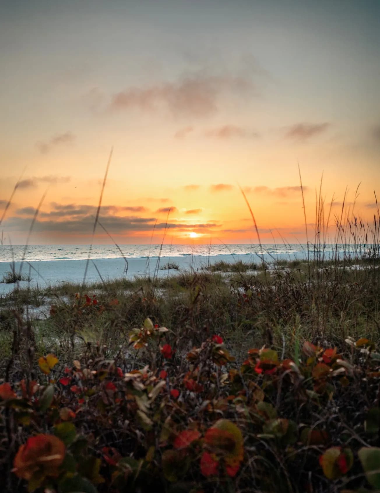 Featherlily Photography image