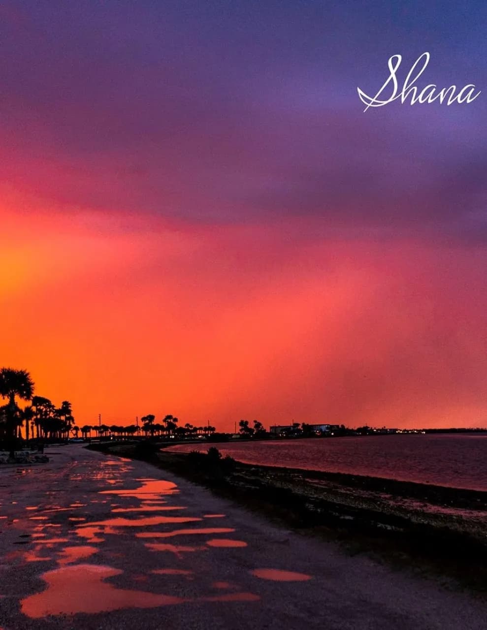 sunshineshana image