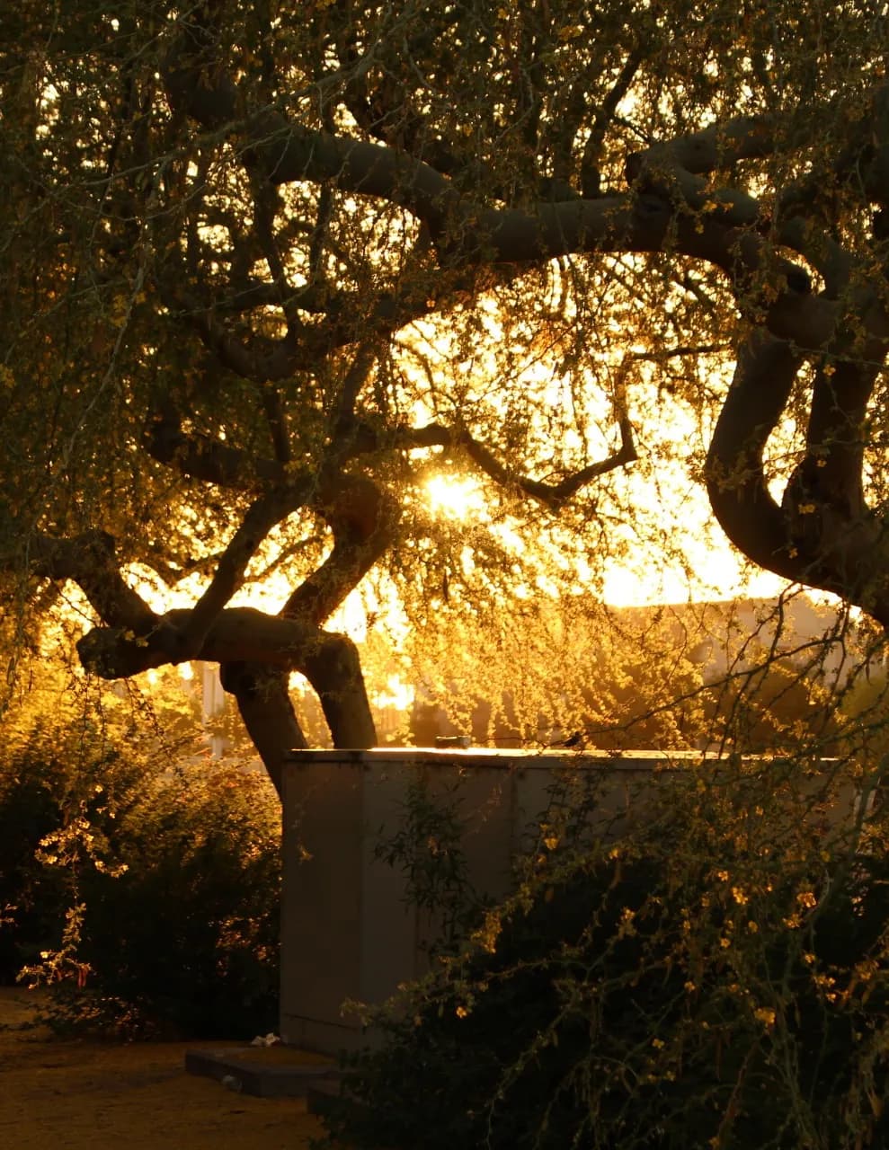 SCL Photography image