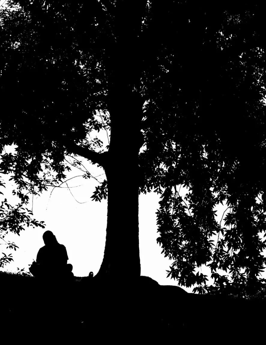 Nicola Menicacci image