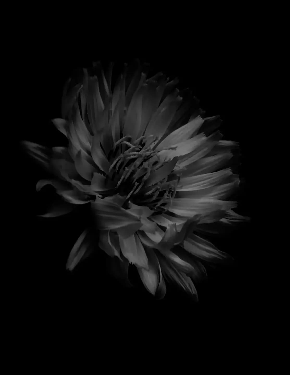 TC image