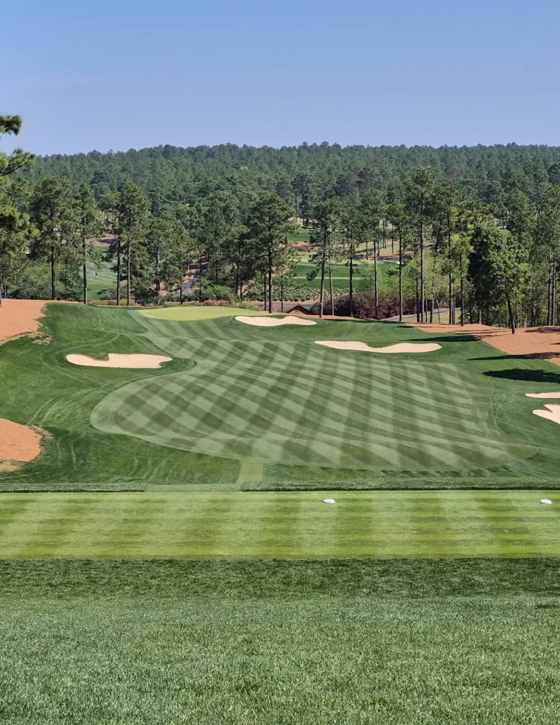 Golfpro79 image