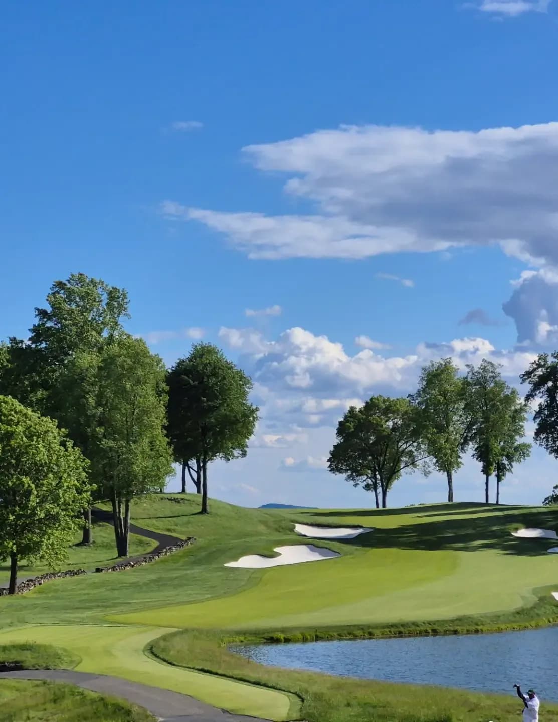 Golfpro79 image