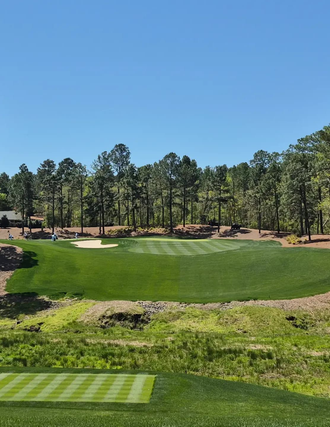 Golfpro79 image