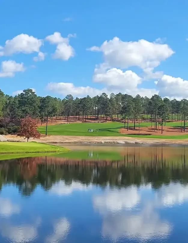 Golfpro79 image