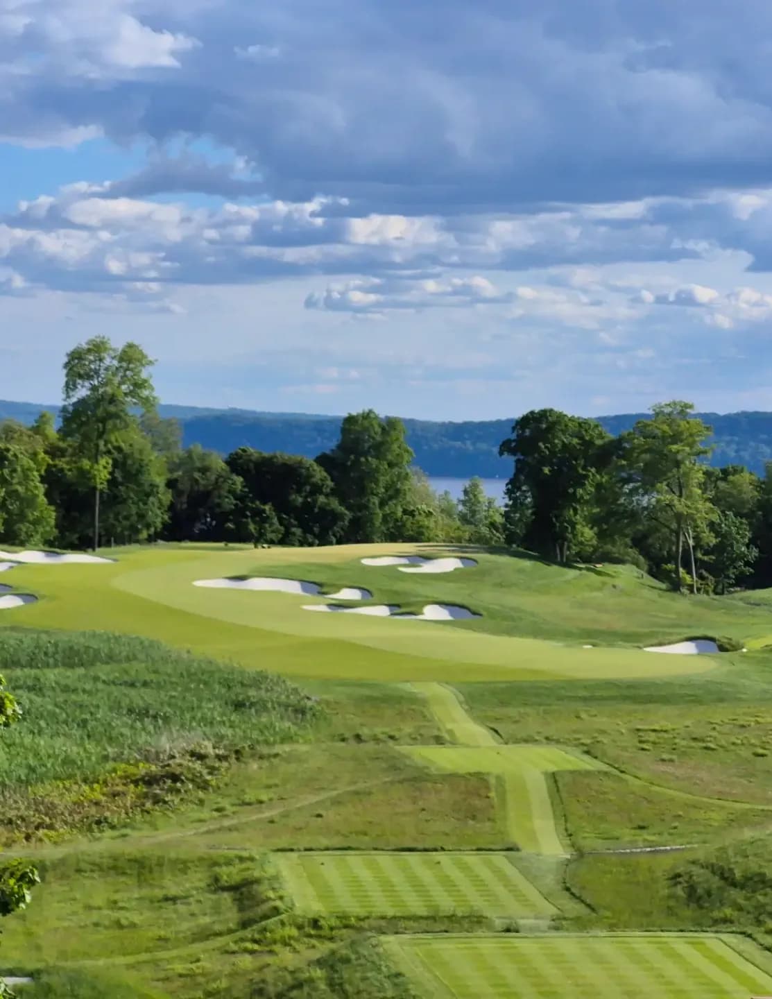 Golfpro79 image