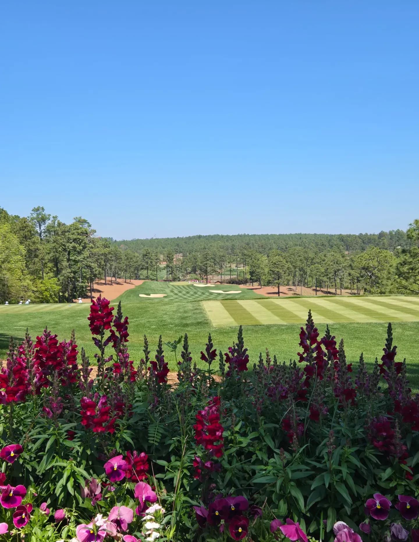 Golfpro79 image