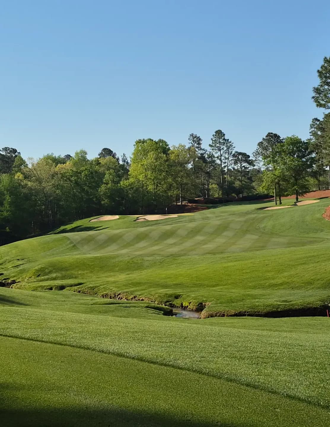Golfpro79 image