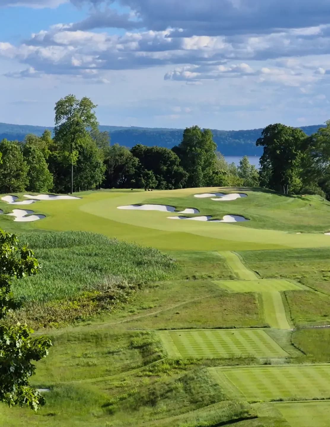 Golfpro79 image