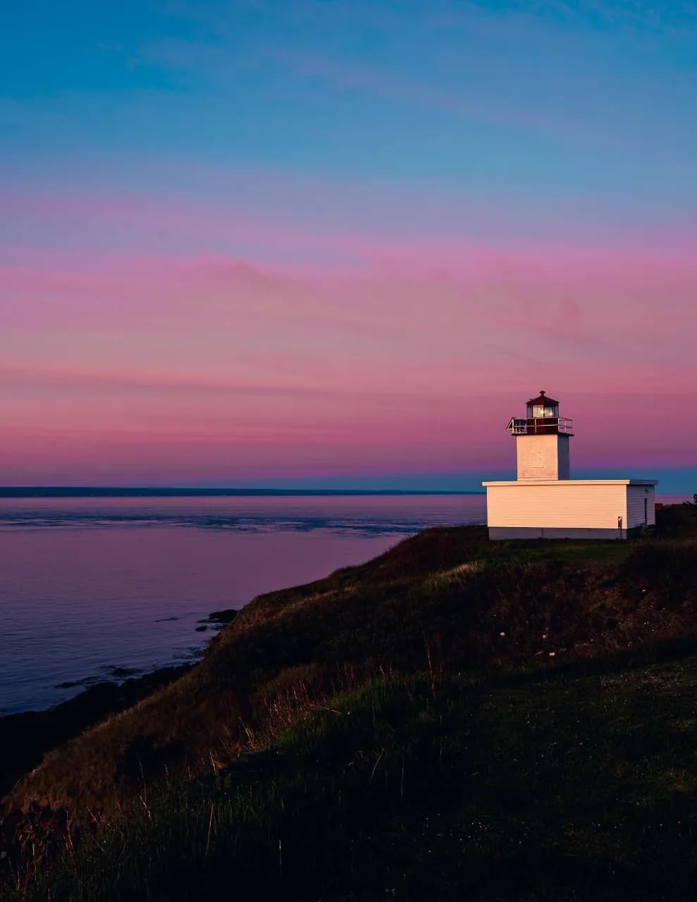 LeighMacArthur image