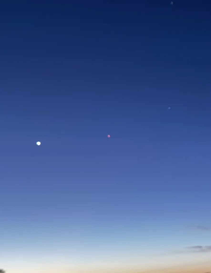 NkbPep image