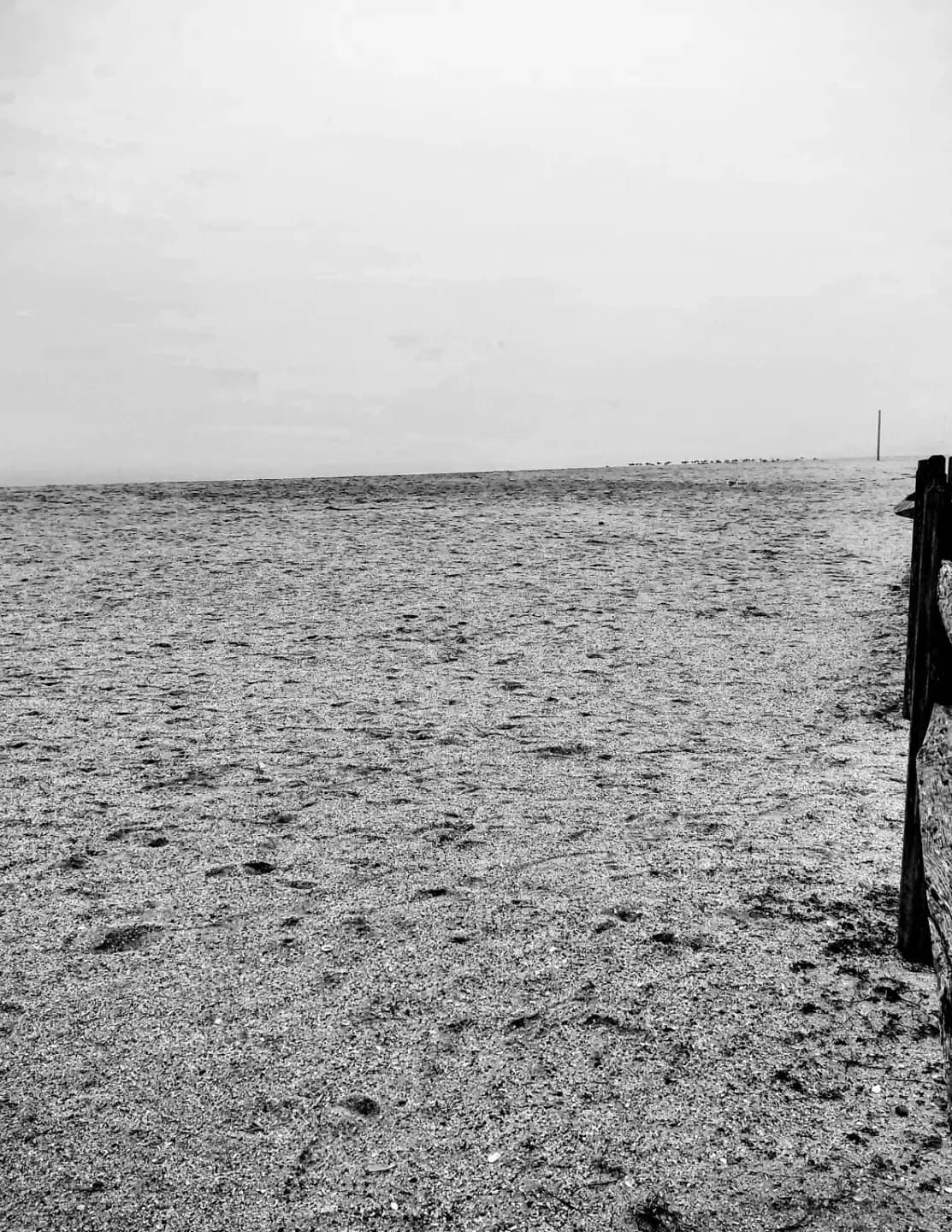 Gerhard Prinsloo image