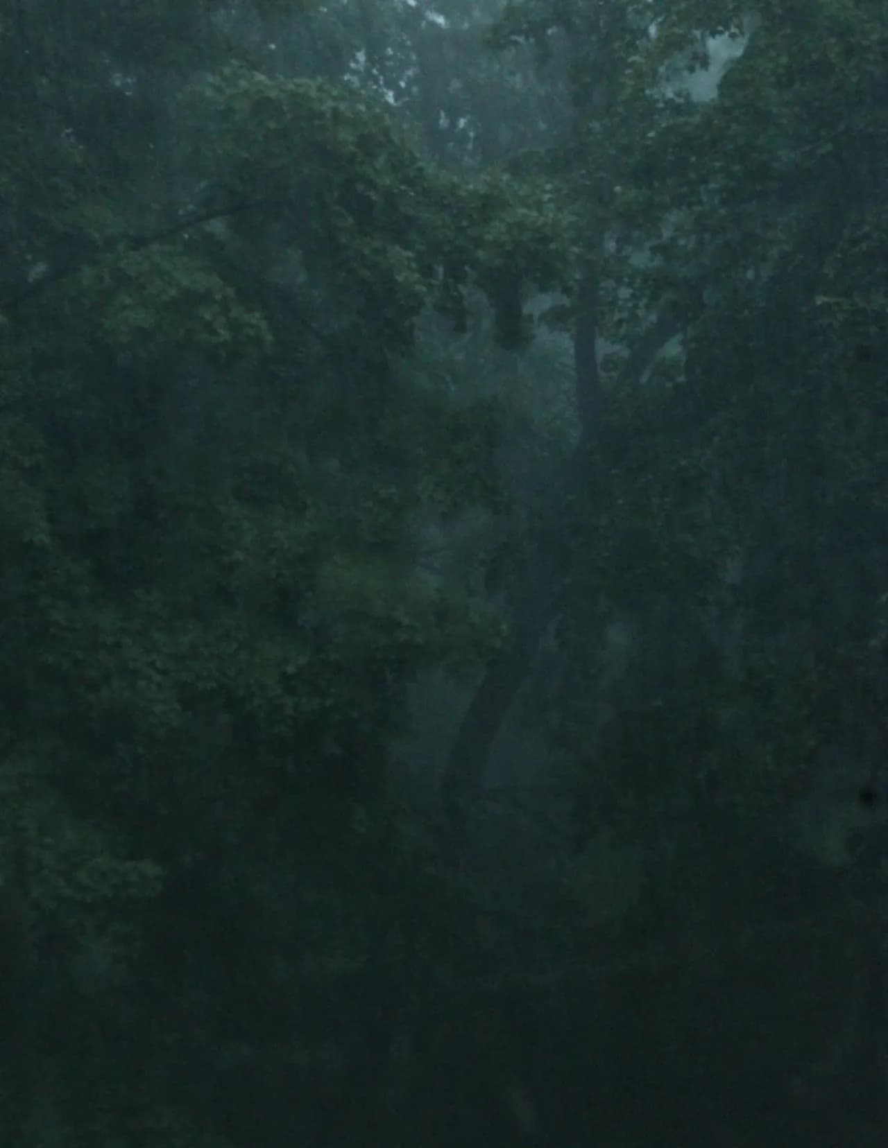 Olivia Addorisio image