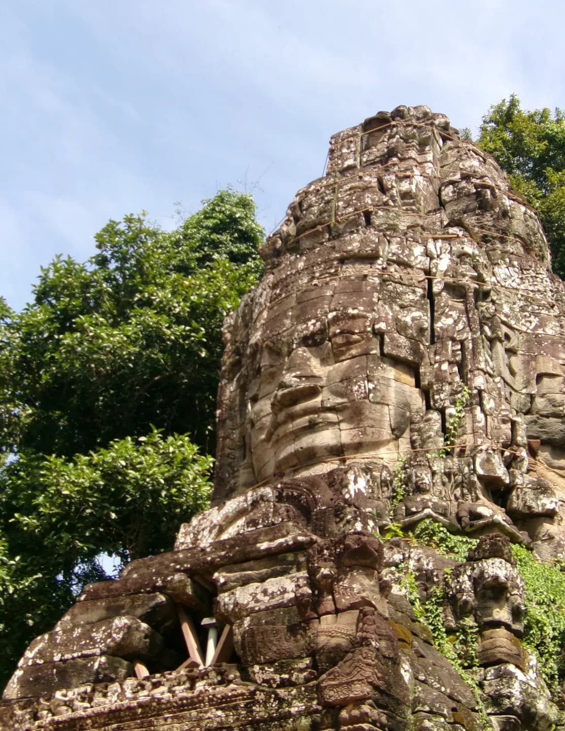 jaidar image