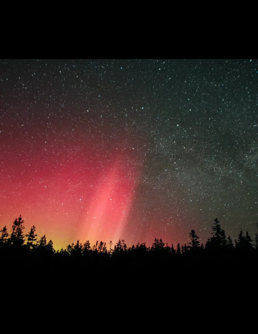 Mike Denison image