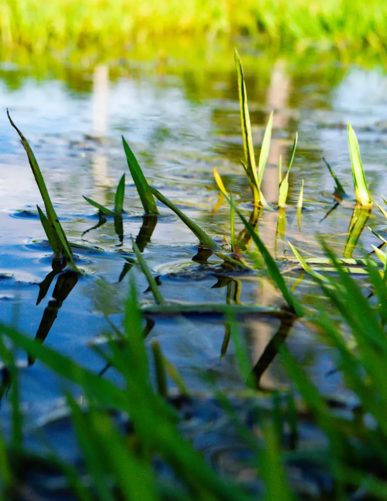 Whittwrapsphotography image