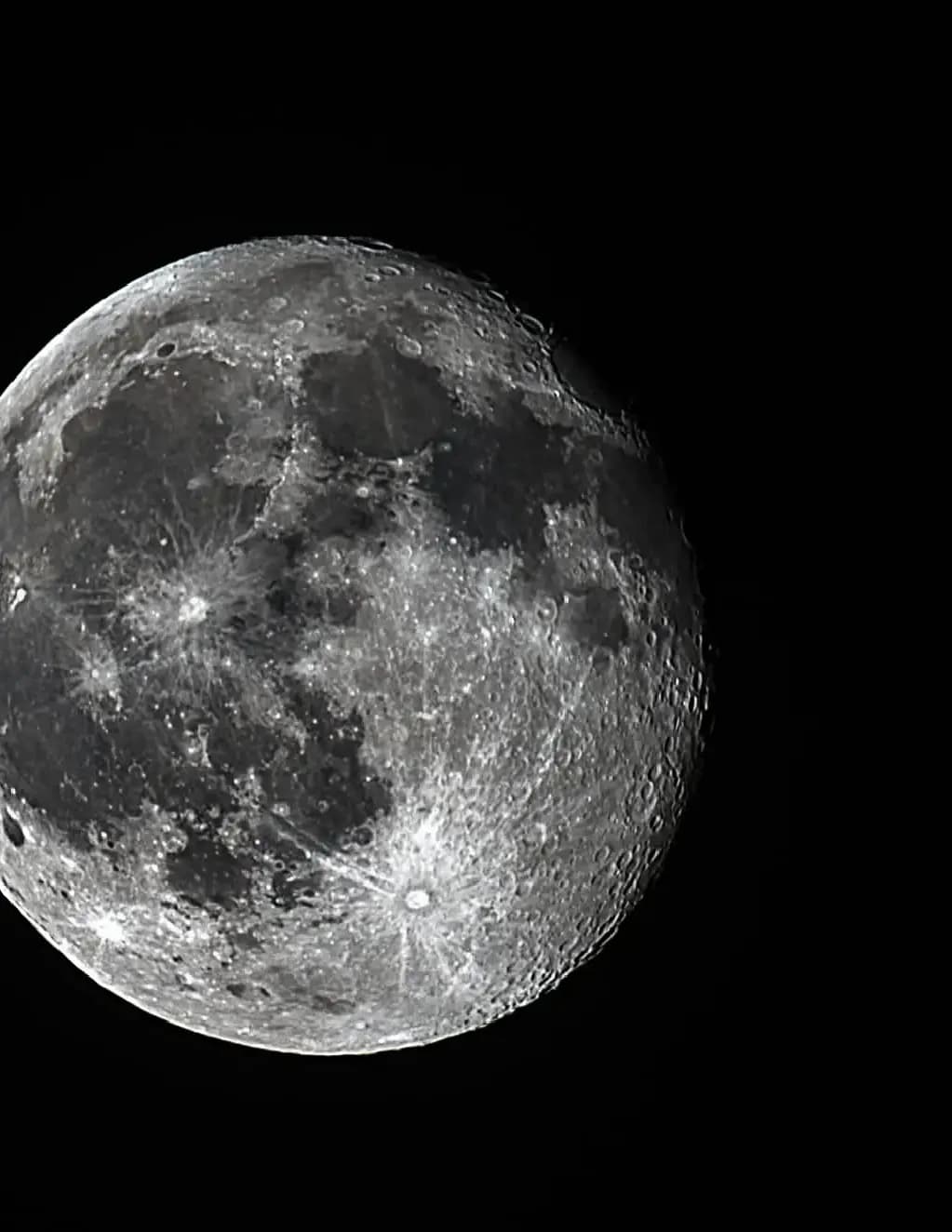 Mlevine image