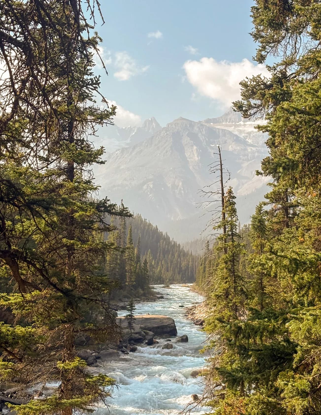 Nick Grenier image