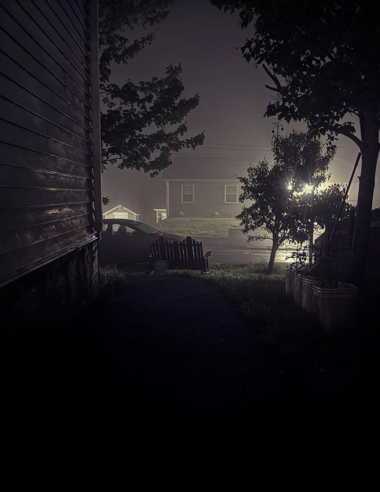 Tommy Lew image