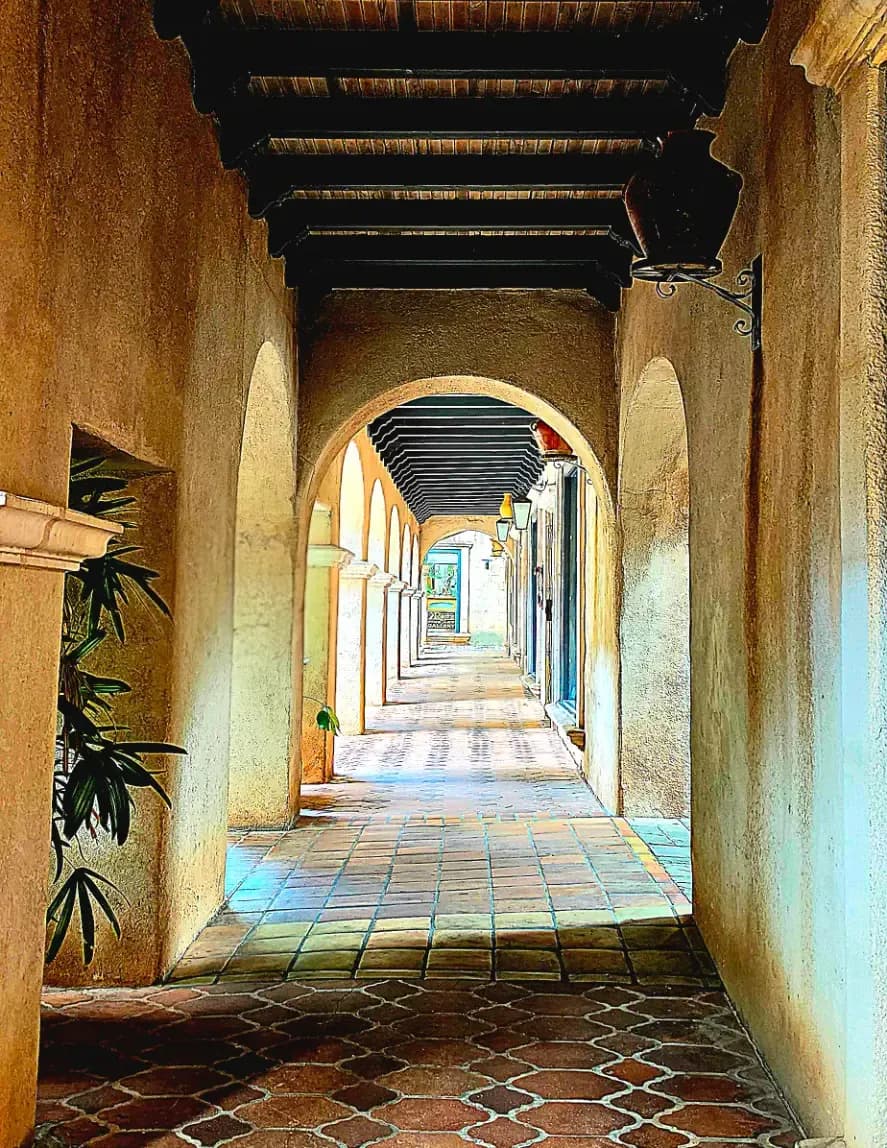 Michael Carmine image