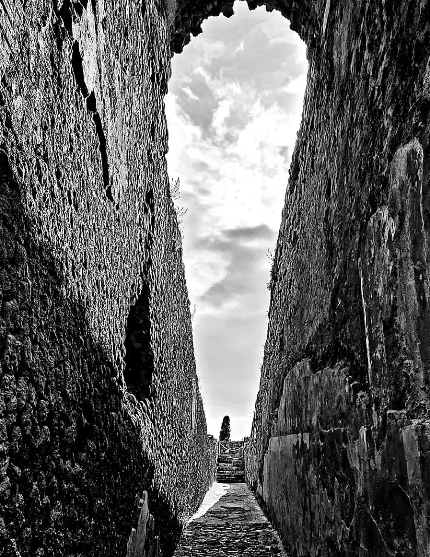Michael Carmine image
