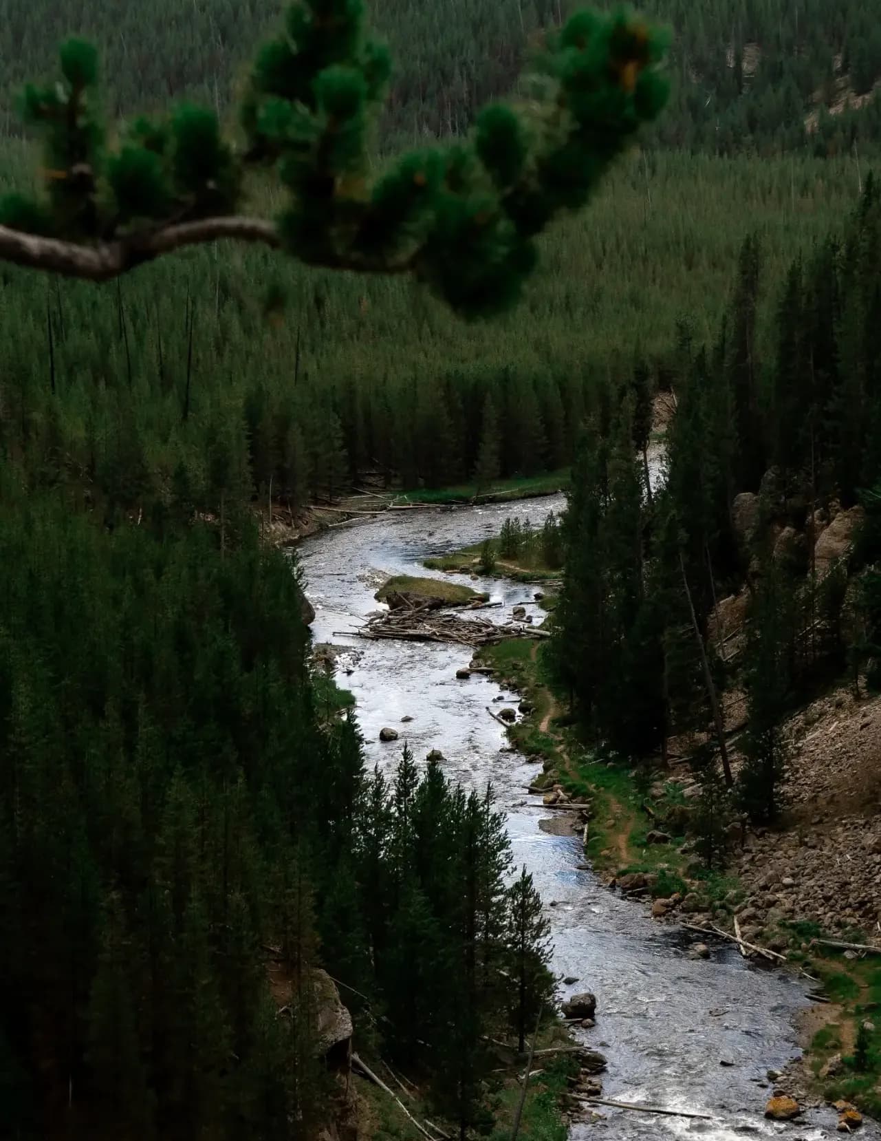 Stephanie Blackston image