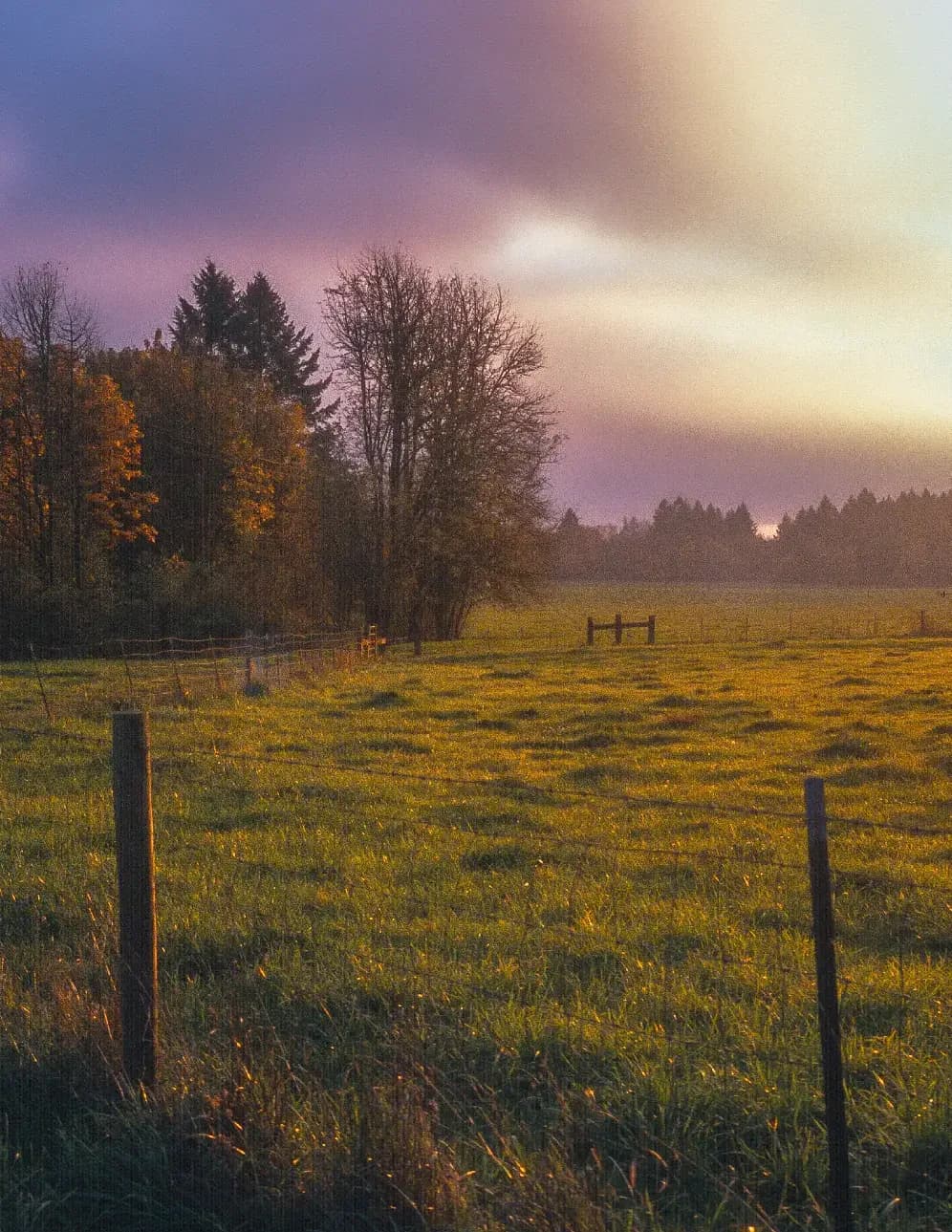 R. Harris Photography image
