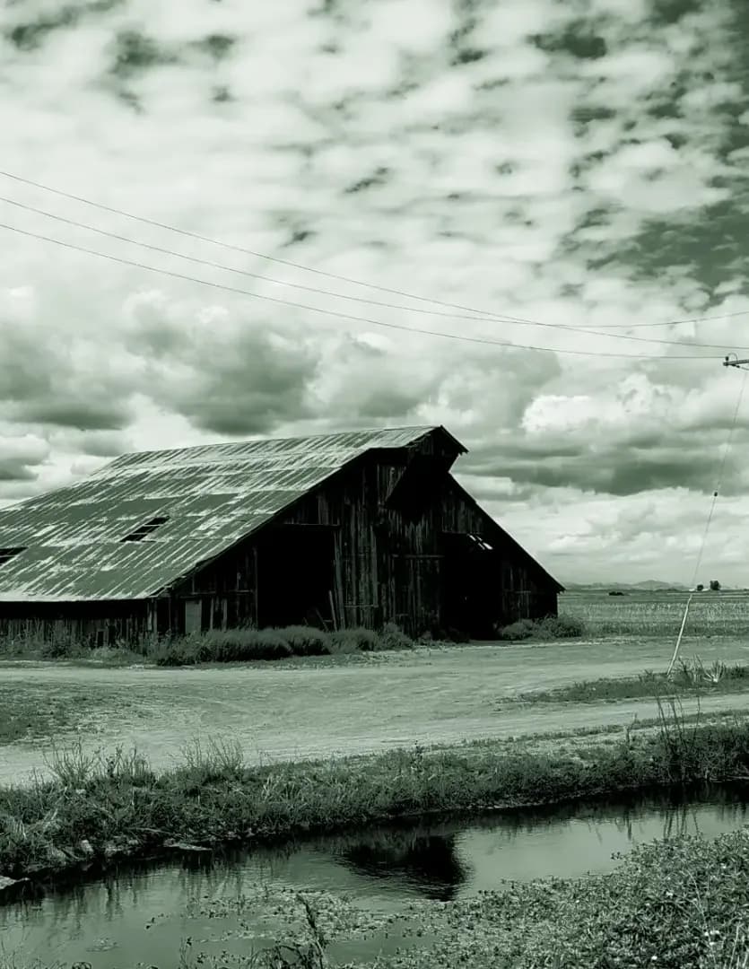 Jeffrey Alan Banach image
