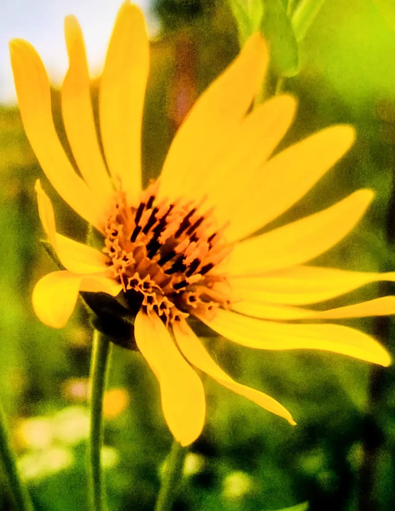 Jeffrey Alan Banach image