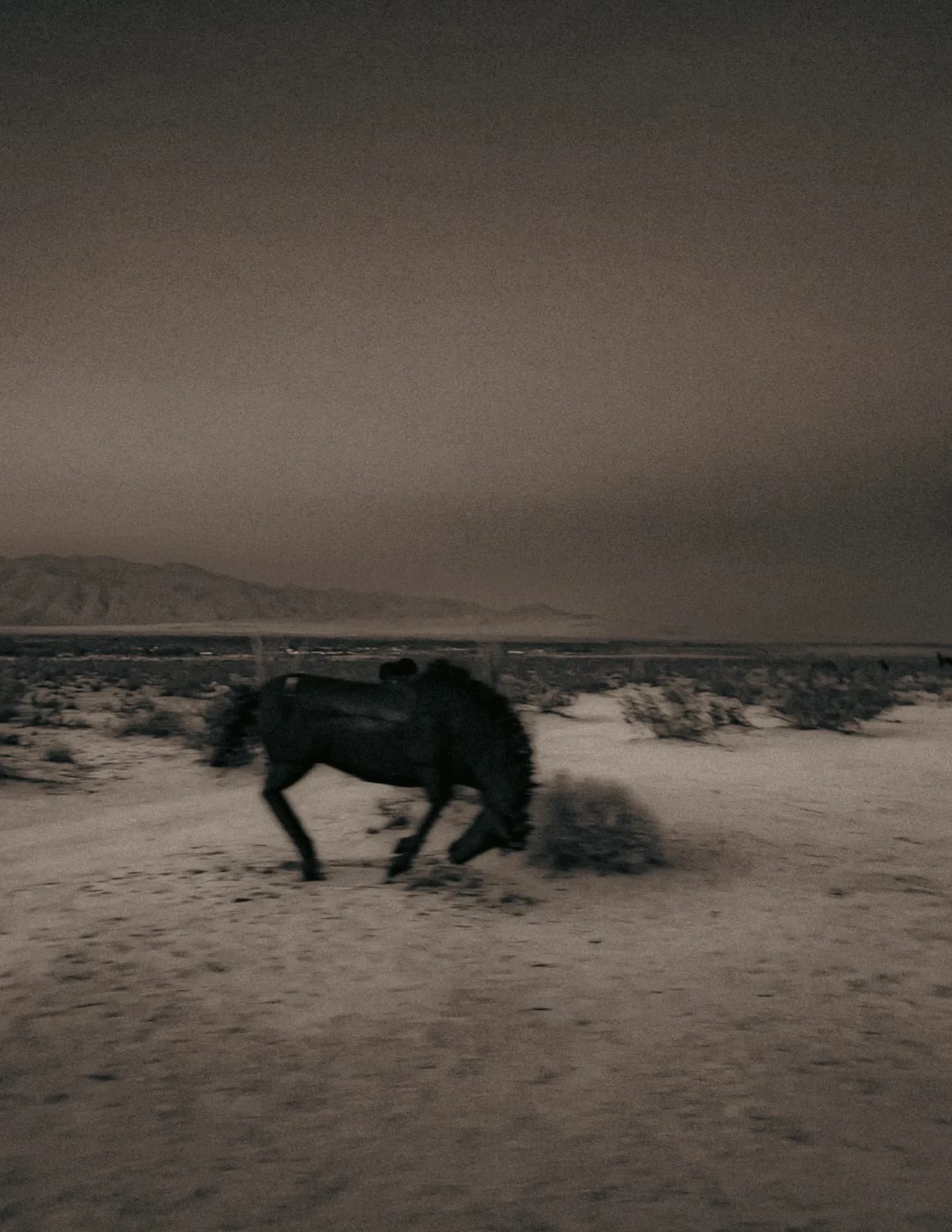 Cristian Toscano image
