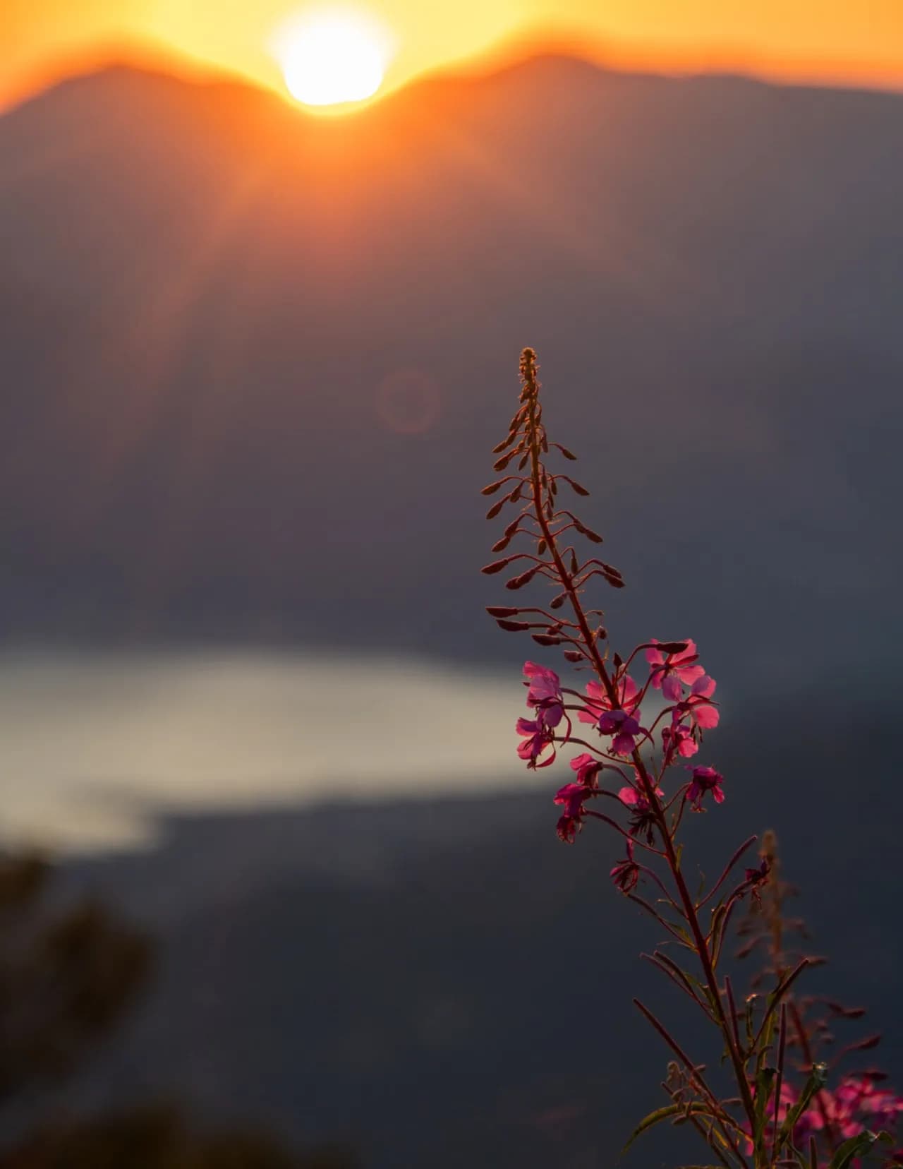 Ryan Campbell image