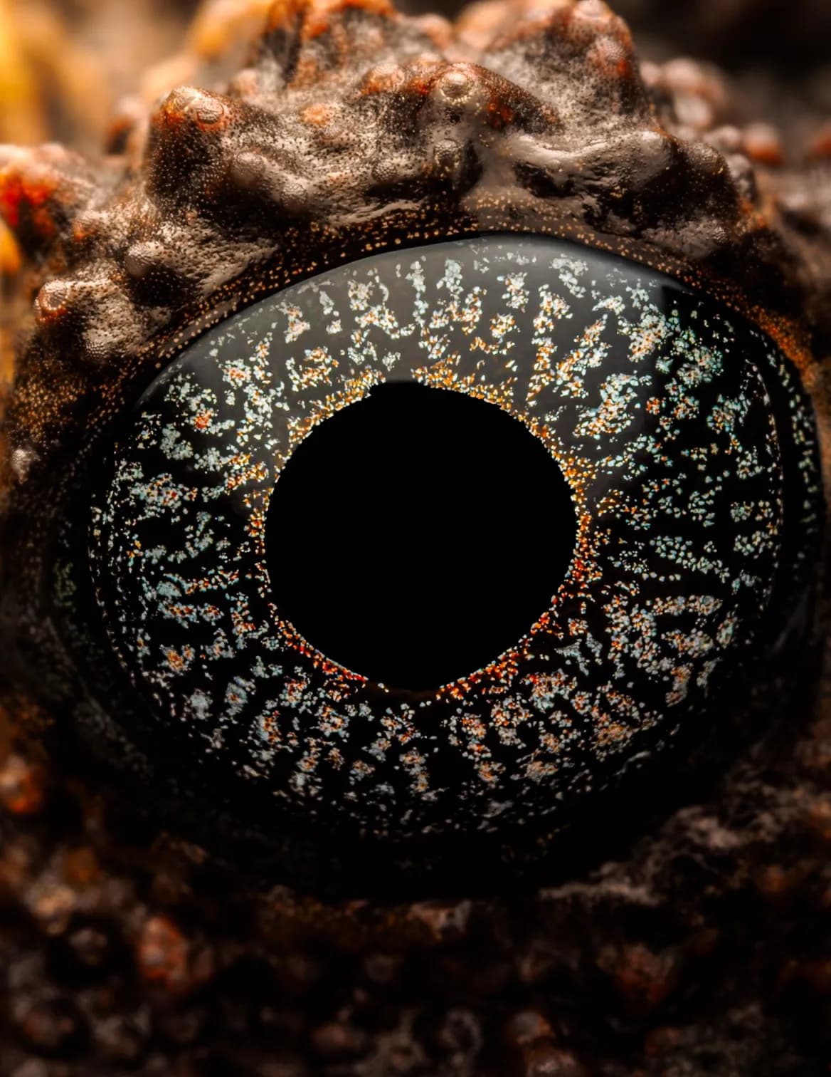 EllridgePhotography image