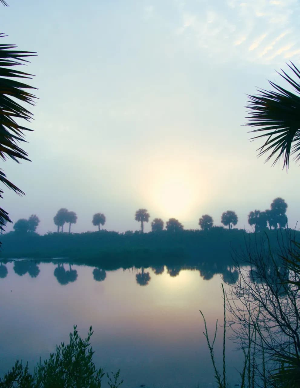 Dawn to Dusk Media Co image