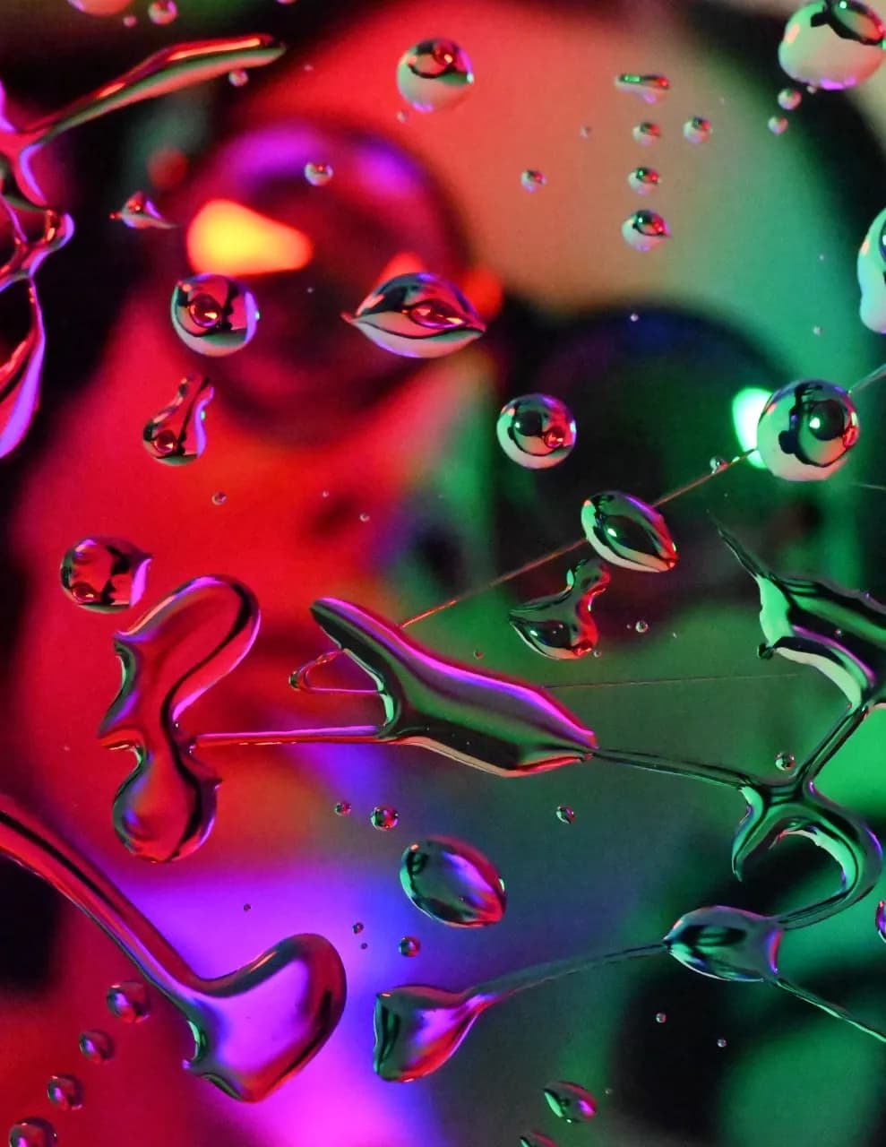 Black Prism Photography image