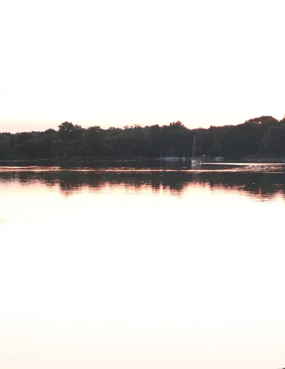 QubitDoesPhotography image