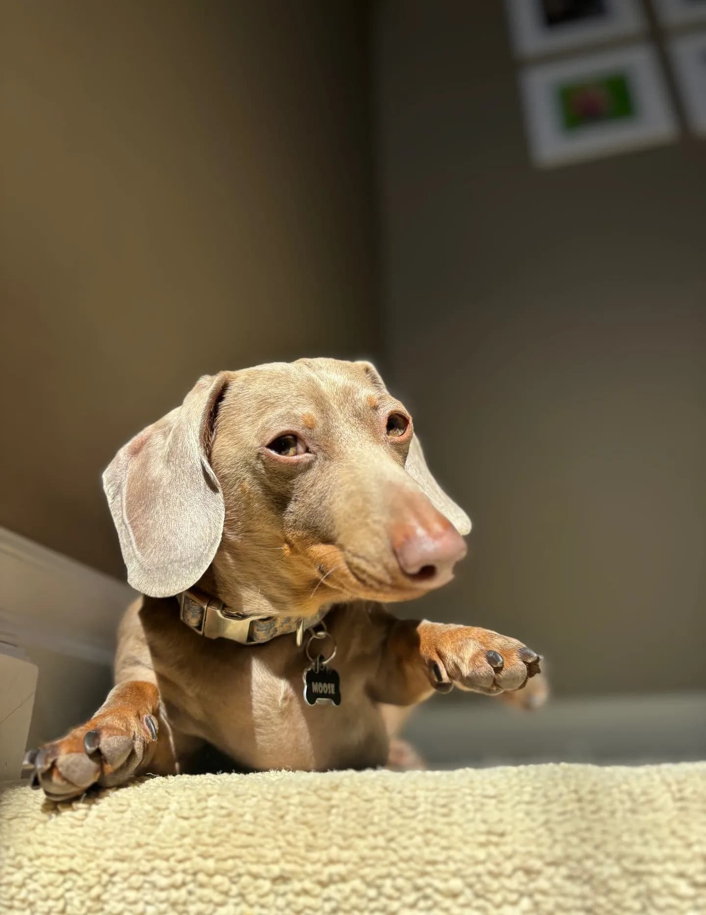 QubitDoesPhotography image