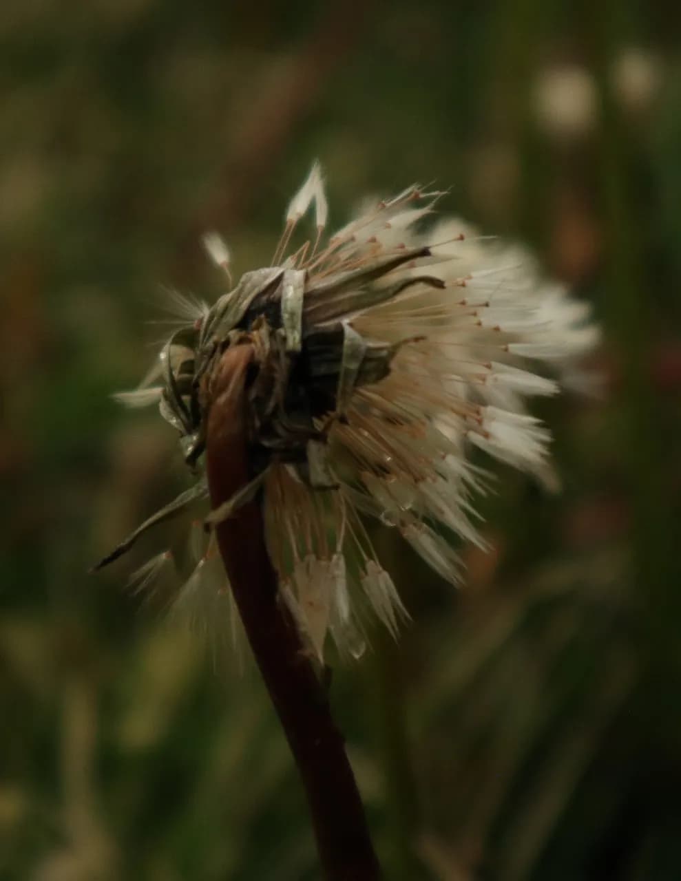 QubitDoesPhotography image