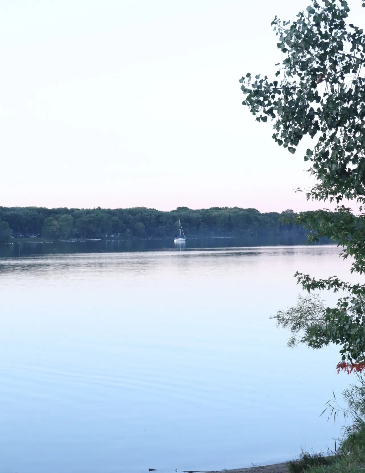 QubitDoesPhotography image