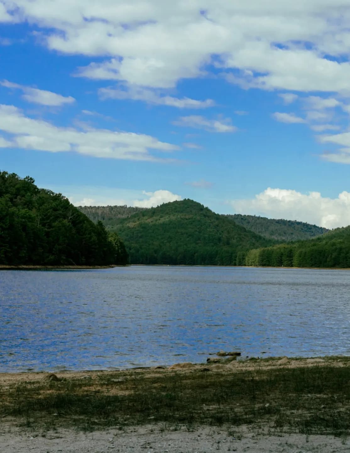 C McCain Photography image