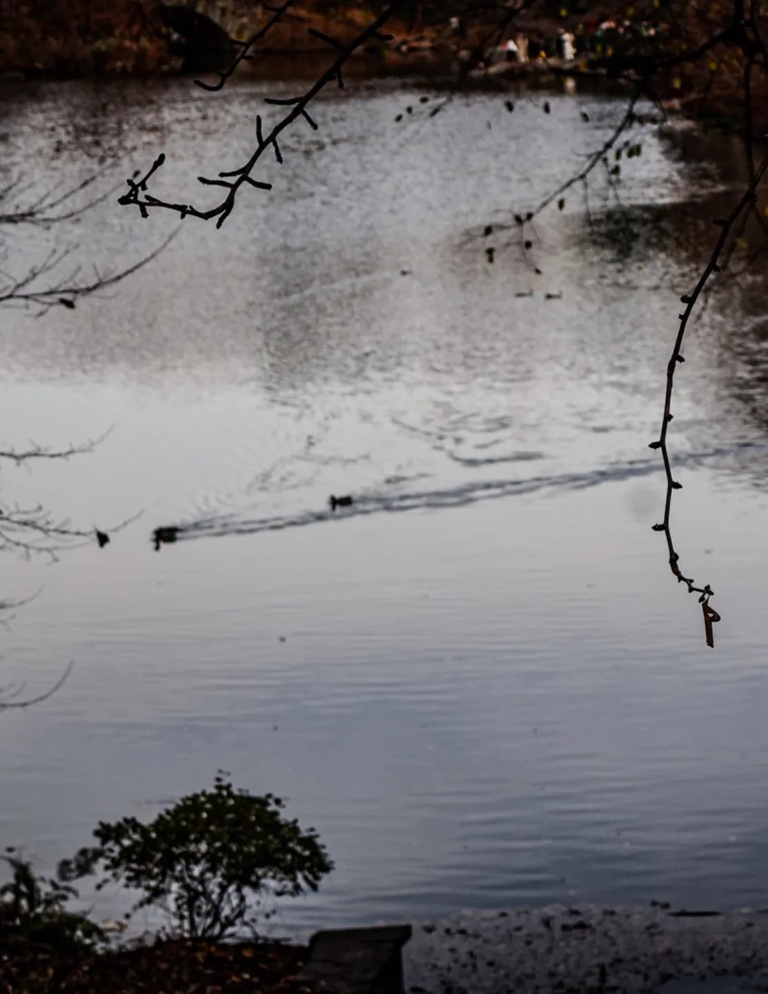 Captured.518 image