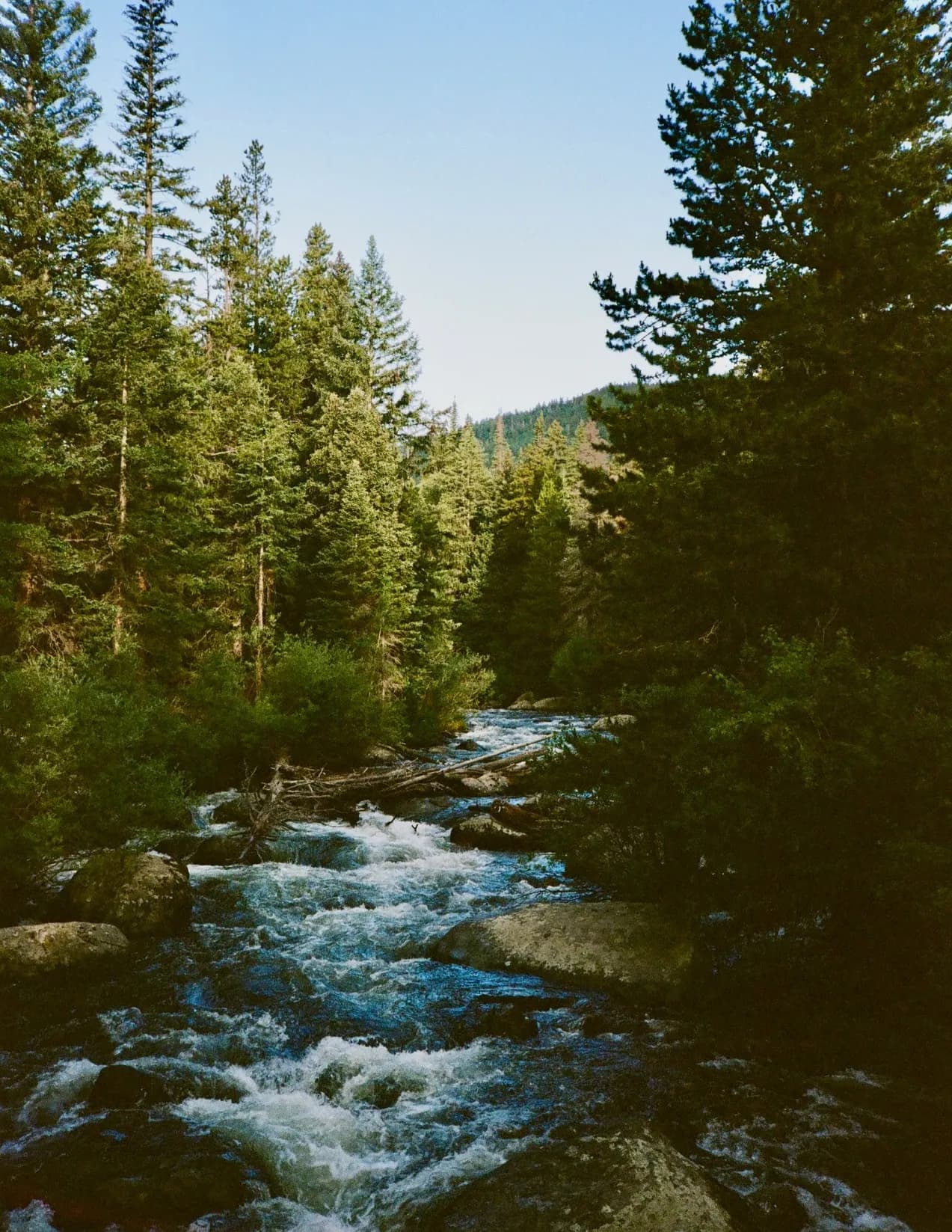 katepostsfilm image