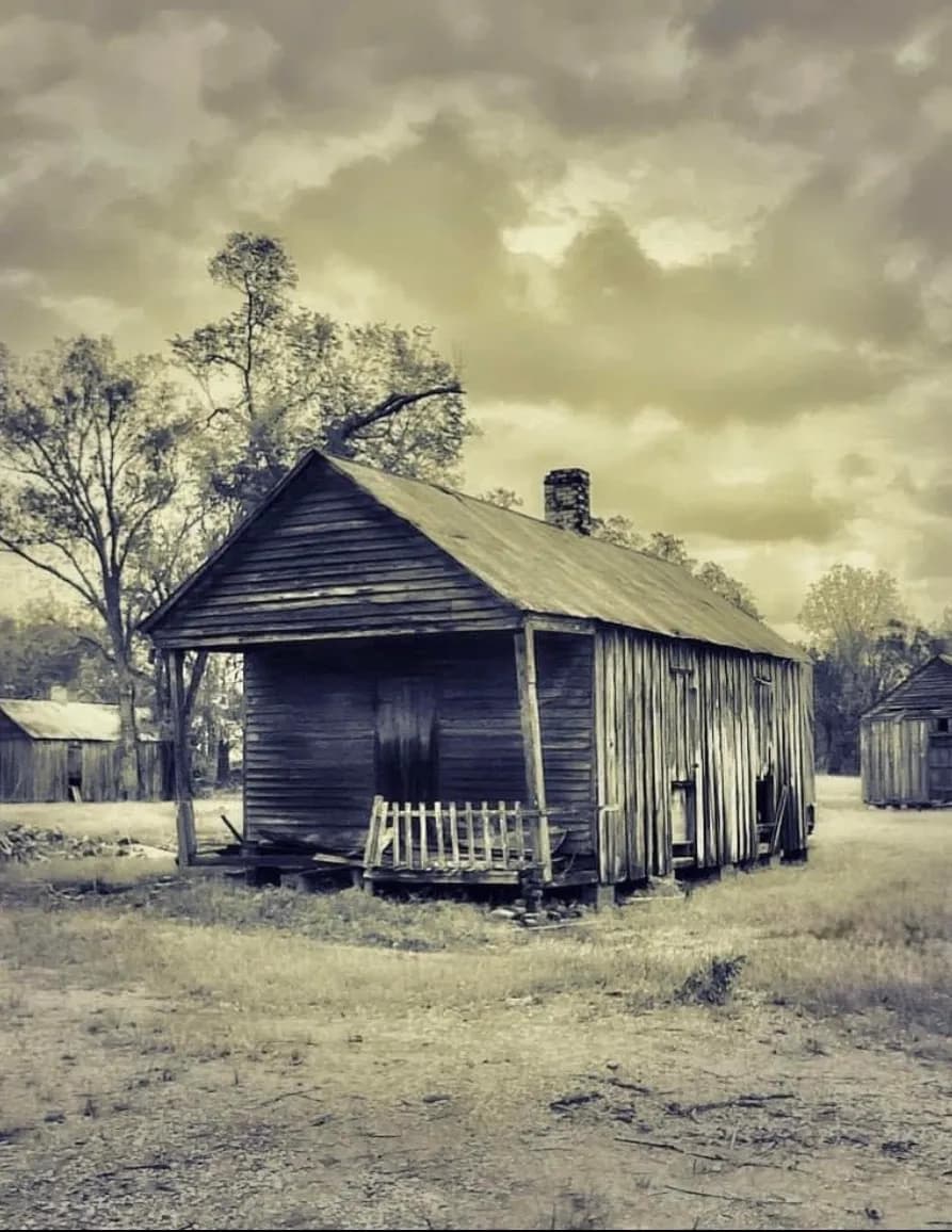Lisa S. Holley image