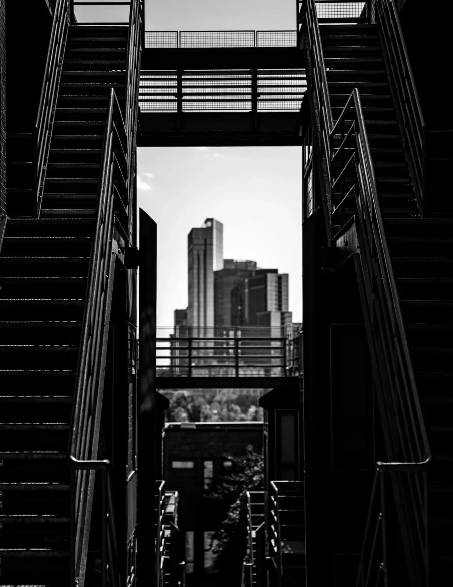 @memento.vitae.photography image