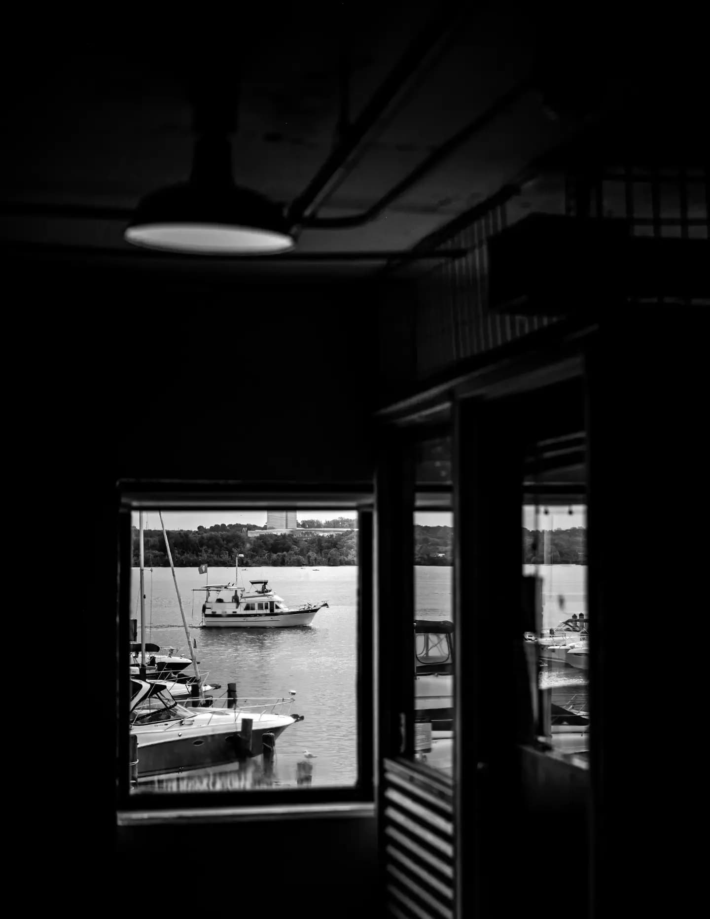 @memento.vitae.photography image