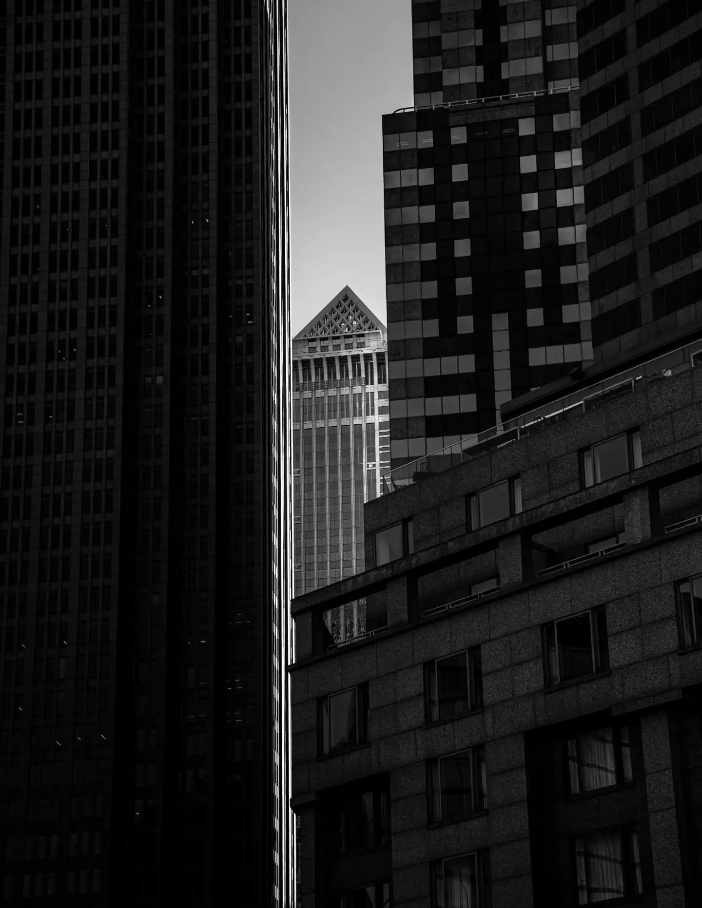 @memento.vitae.photography image