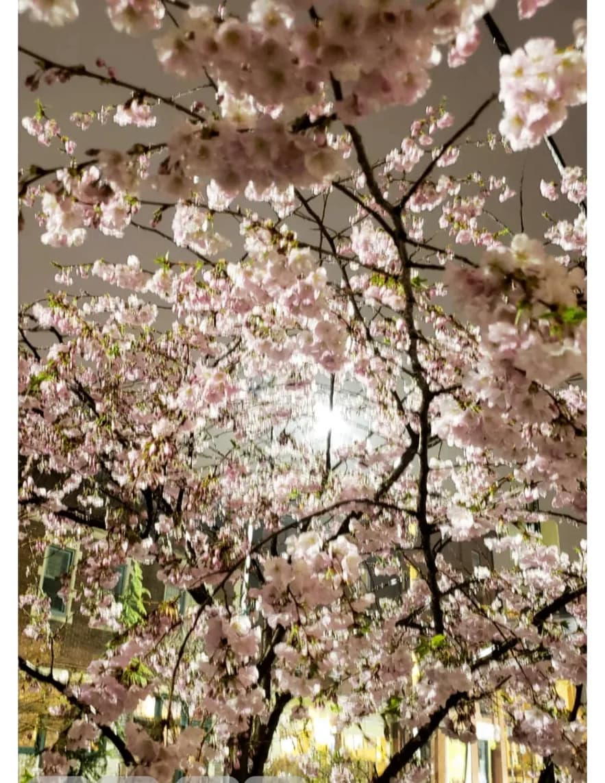 Juana_D_Photography image