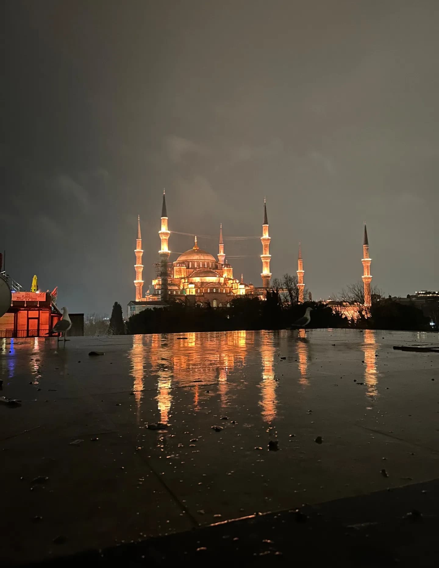 Nasteha Ali image